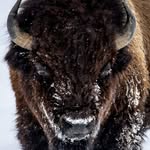 Cal Carlson - @c4k1971 - Instagram