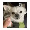 呀煞 - @calrcarr - TikTok