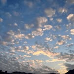 Cal Chan - @cal_chan - Instagram