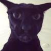 Queti - @calchan_ - TikTok