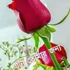 Changcal Mondal - @changcalmondal - TikTok