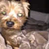 user4535528207519 - @calchang_ - TikTok