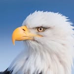 Cal Clark - @cal.clark.73 - Instagram