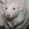 Calla Cochran - @calla.cochran - TikTok