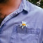 Cal Cook - @lambs_eat_ivy - Instagram