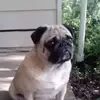 Cal Cook - @cal.cook2 - TikTok