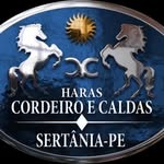 Haras Cordeiro e Caldas-HGC - @harascordeiroecaldas - Instagram