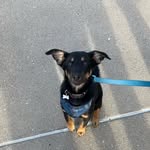 The Coolest Coxswains in California - @calcoxes - Instagram