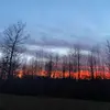 calcunningham20 - @calcunningham20 - TikTok