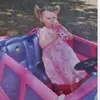 cal - @callieharrington1 - TikTok