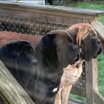 Missy Sutherland Cadwell - @miss8667 - Instagram