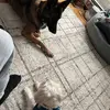 Caleb Bartlett - @caleb_bartlett_ - TikTok