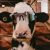 cale - @calebennetts - TikTok