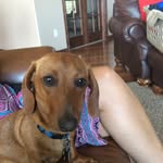 Cale Carlson - @carlsoncale - Instagram