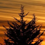 Cale Carlson - @calecarlsonphotography - Instagram