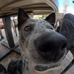 Cale Skippy Erickson - @caleisliving - Instagram
