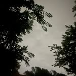 Caleb Fleming - @316.calebb - Instagram