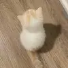 Caleee - @cale.is.green - TikTok