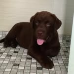 Calegreen - @calegreen1234 - Instagram