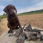 Cale Horton - Facebook