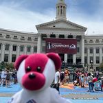 Cale Makar the bear - @cale_makar_the_bear - Instagram