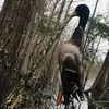Cale Martin - @calemartinmx230 - TikTok