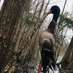 Cale Martin - @cale_martin13 - Instagram