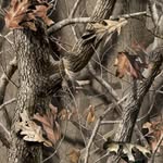 Cale miller - @miller_cale - Instagram