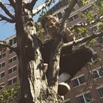 cale moore - @calem0ore - Instagram