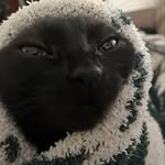 Caleb NeVille - @calebneville23 - Instagram