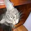 Caleb Powers - @caleb.powers8 - TikTok