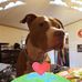 Cale Reeves - Facebook