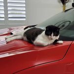 Cale Reid - @cale_reid1 - Instagram