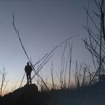 Cale Reid Crace - @cale_crace - Instagram