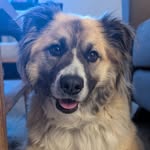 Cale Russell - @cale8500 - Instagram