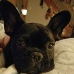 Caleb Schaefer - @caleb.schaefer - Instagram