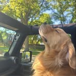 Kellie Schönning - Facebook