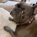 Cale Silva - Facebook
