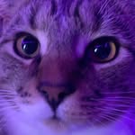 Cale Thompson - @calet20 - Instagram
