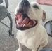 Caleb Thye - Facebook