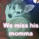 Caleb Wallace - @caleb.wallace.3363 - Instagram
