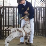 Caleb Wallace - @ccalebwallace - Instagram