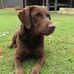 Caleb Willis - Facebook