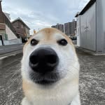 Caleb Acevedo - @caleb_acevedo_ - Instagram