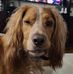 Caleb Ackley - Facebook