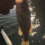 Caleb Adkins - @caleb_adkins3 - Instagram