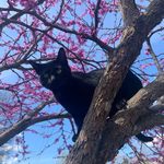 Caleb Agee - @football_is_key0977 - Instagram
