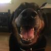 Caleb Albo - @2176376086 - TikTok