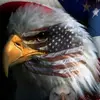 Caleb Ames423 - @obs4sixty - TikTok
