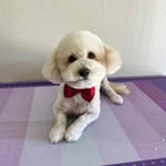 Caleb Ames - @slmdnkasr59 - Instagram